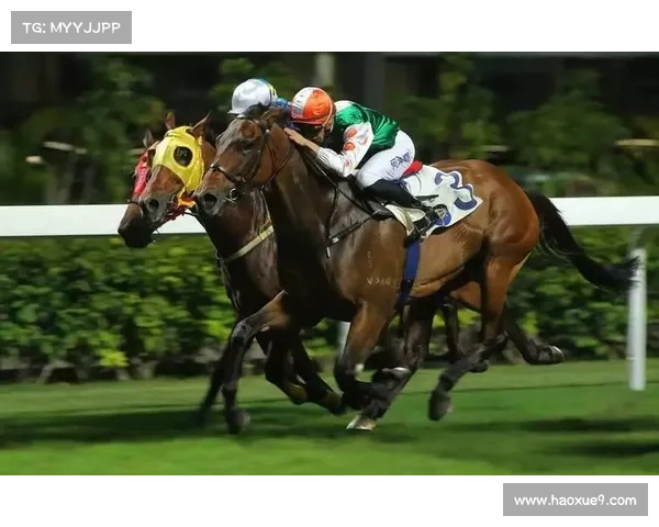 跑马地料赛马会